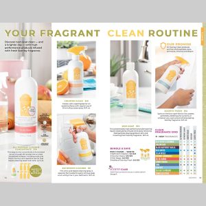 Kitchen Cleaning Products